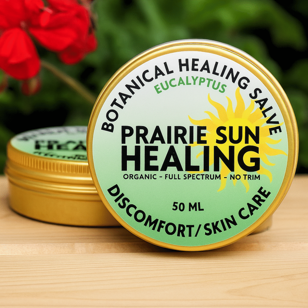 Organic botanical healing salve by Prairie Sun Healing in a 50 ml gold tin, natural skin care for discomfort relief, for pain relief, displayed with flowers and greenery.
