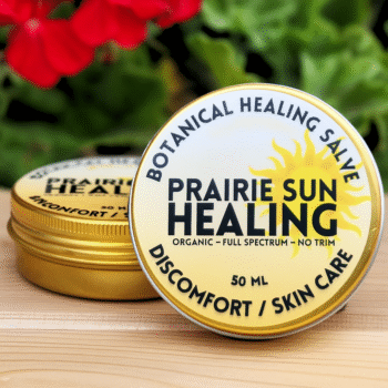 Organic botanical healing salve by Prairie Sun Healing in a 50 ml gold tin, natural skin care for discomfort relief, for pain relief, displayed with flowers and greenery.