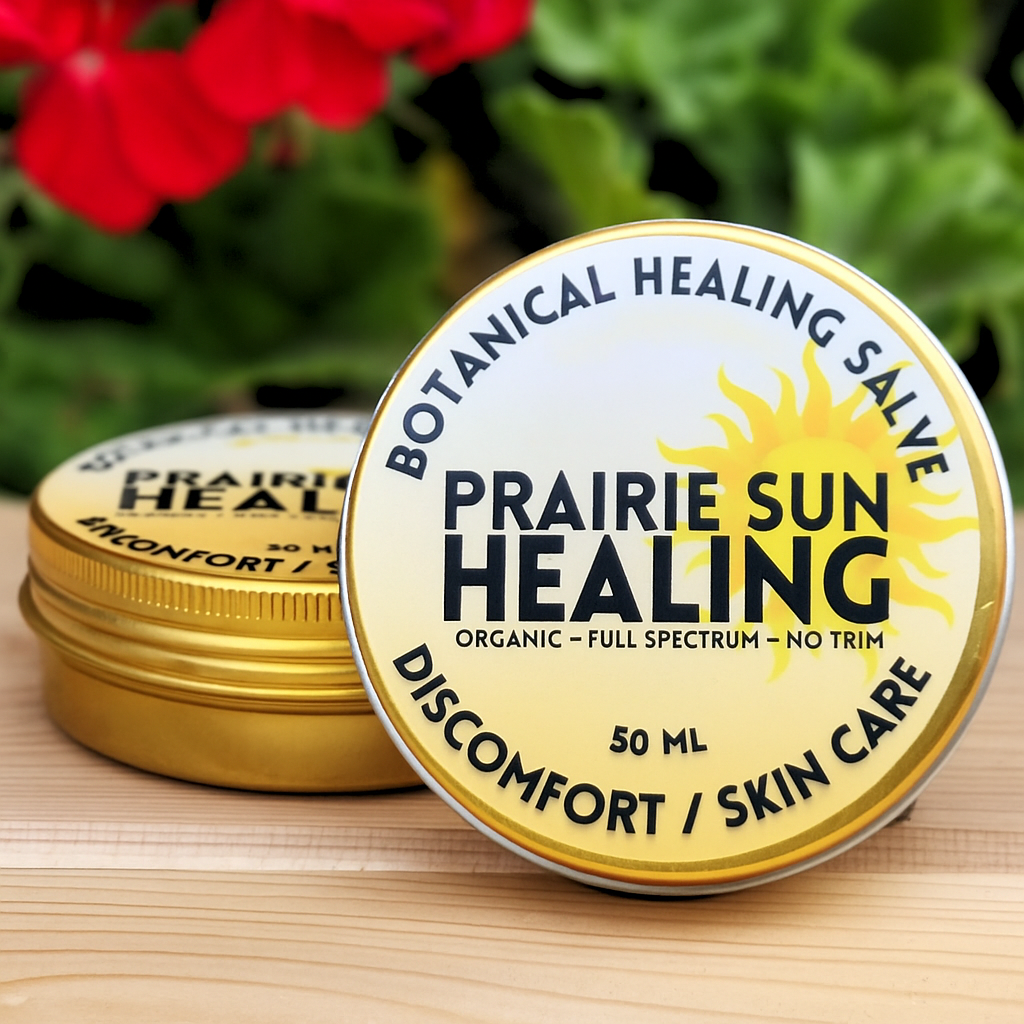 Lemongrass Salve Organic botanical healing salve by Prairie Sun Healing in a 50 ml gold tin, natural skin care for discomfort relief, for pain relief, displayed with flowers and greenery.