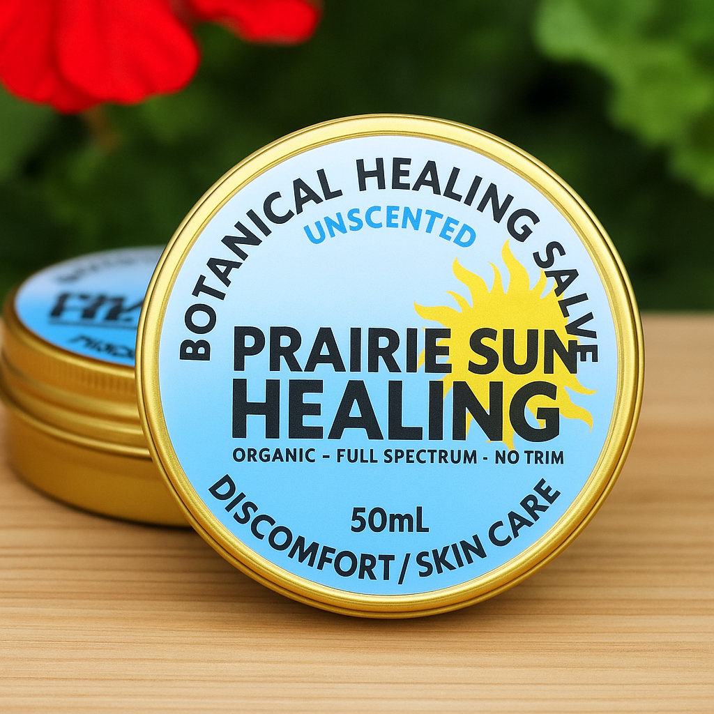 Unscented Salve Organic botanical healing salve by Prairie Sun Healing in a 50 ml gold tin, natural skin care for discomfort relief, for pain relief, displayed with flowers and greenery.